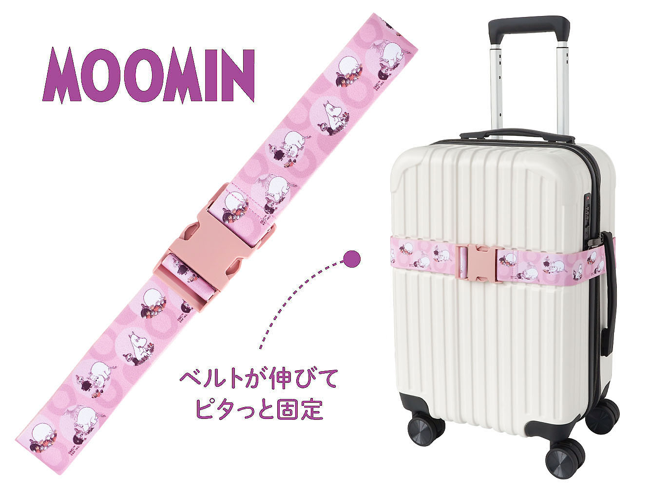carrybelt05.jpg