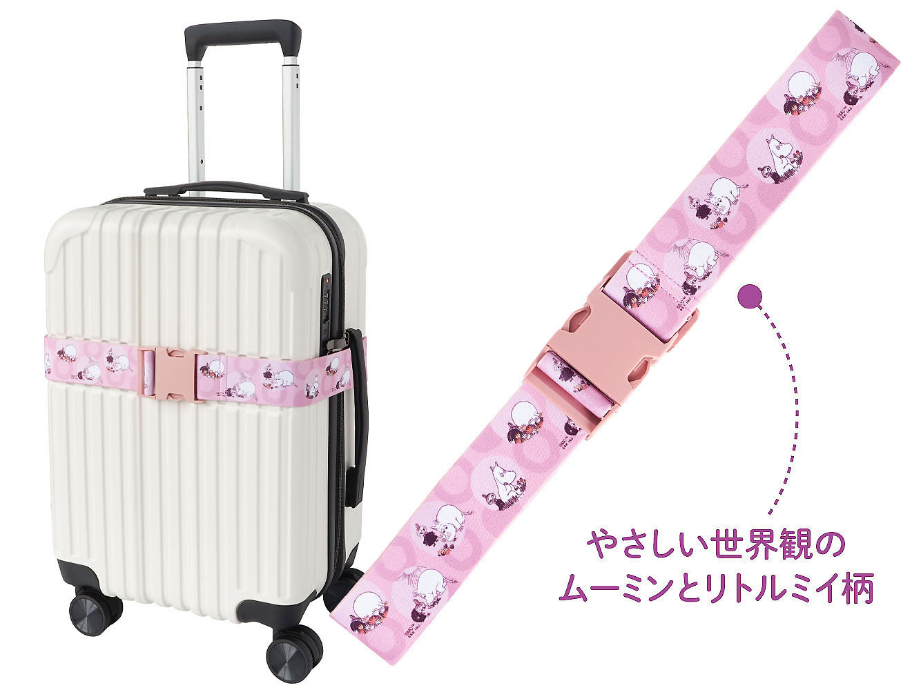 carrybelt01.jpg