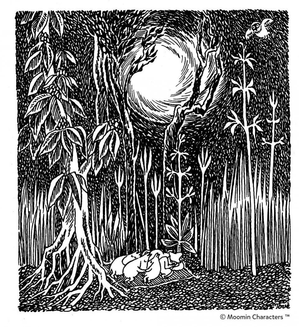 01-Comet-in-Moominland-illustration-e1689943588254-960x1050.jpg