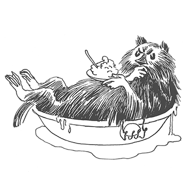11_Muskrat_Comet_in_Moominland.png