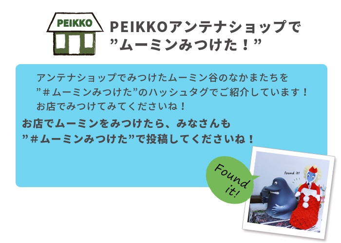 blog-161128-peikko-2